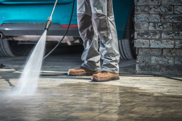 Best Oil Spill Cleanup  in San Pasqual, CA