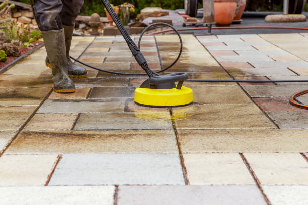 Best Roof Washing  in San Pasqual, CA